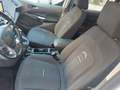 Ford Tourneo Connect 2022 5P TETTO APRI 1.5 ECOBLUE120CV SeS ACTIVE AUT Alb - thumbnail 10