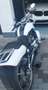 Harley-Davidson VRSC V-Rod Blanco - thumbnail 5