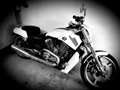 Harley-Davidson VRSC V-Rod Blanco - thumbnail 1