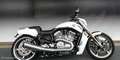 Harley-Davidson VRSC V-Rod Blanco - thumbnail 2