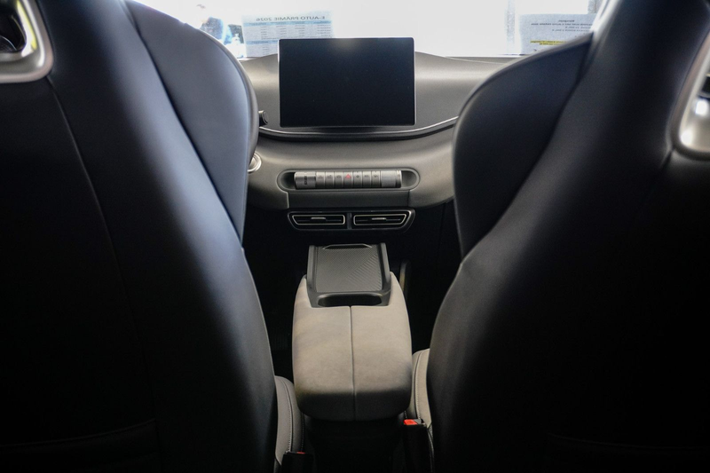 BYD Dolphin Dolphin Surf Boost — photo 13