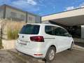 SEAT Alhambra Alhambra Executive 2,0 TDI 127g Executive Weiß - thumbnail 3