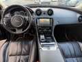Jaguar XJ Portfolio Panorama*Kamera*BiXenon*Meridian Noir - thumbnail 12