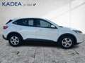 Ford Kuga 2.5 PHEV Cool & Connect Winter-P|Navi|PDC Blanc - thumbnail 5