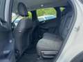 Ford Kuga 2.5 PHEV Cool & Connect Winter-P|Navi|PDC Blanc - thumbnail 9