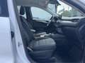 Ford Kuga 2.5 PHEV Cool & Connect Winter-P|Navi|PDC Blanc - thumbnail 11