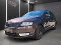 Skoda Rapid/Spaceback 1.6 TDI Drive Spaceback Brun - thumbnail 1