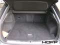 Audi Q3 quattro 40 TFSI S Line 19 Zoll Sportsitze Privacy Grau - thumbnail 15