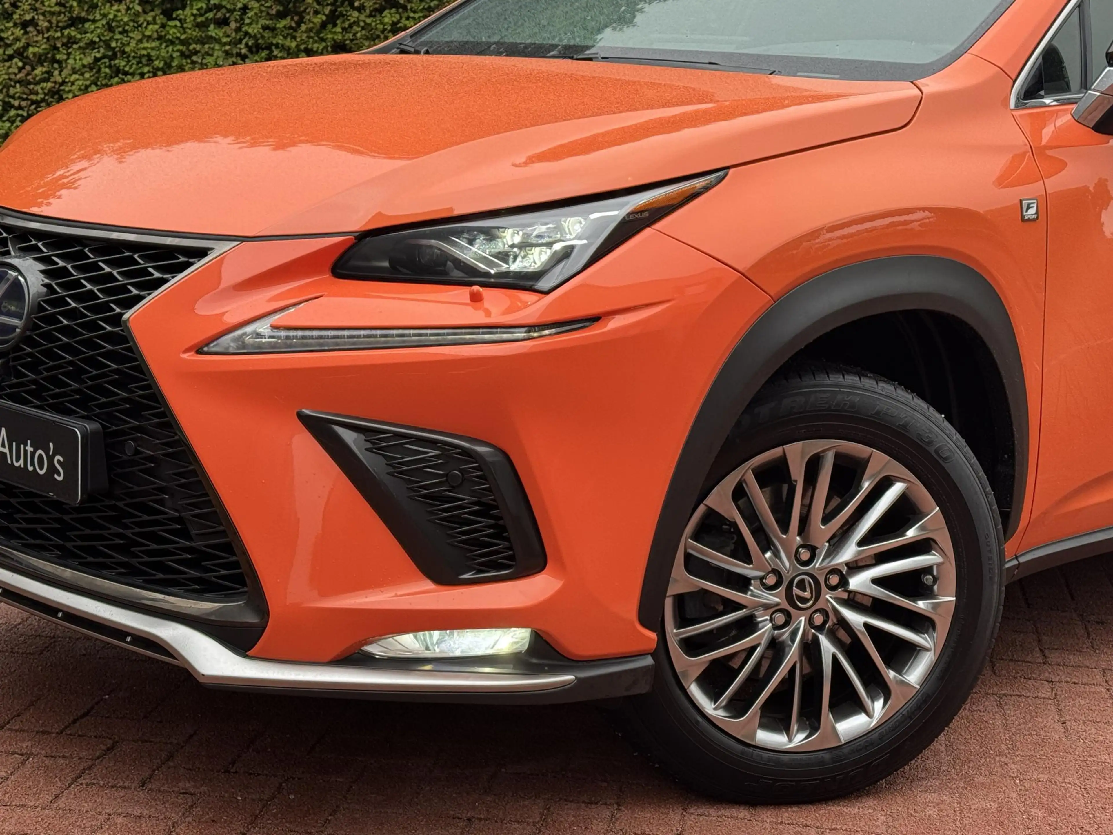 Lexus NX 300h AWD F SPORT MarkLevinson HUD Stoelkoeling Stuurver — photo 5