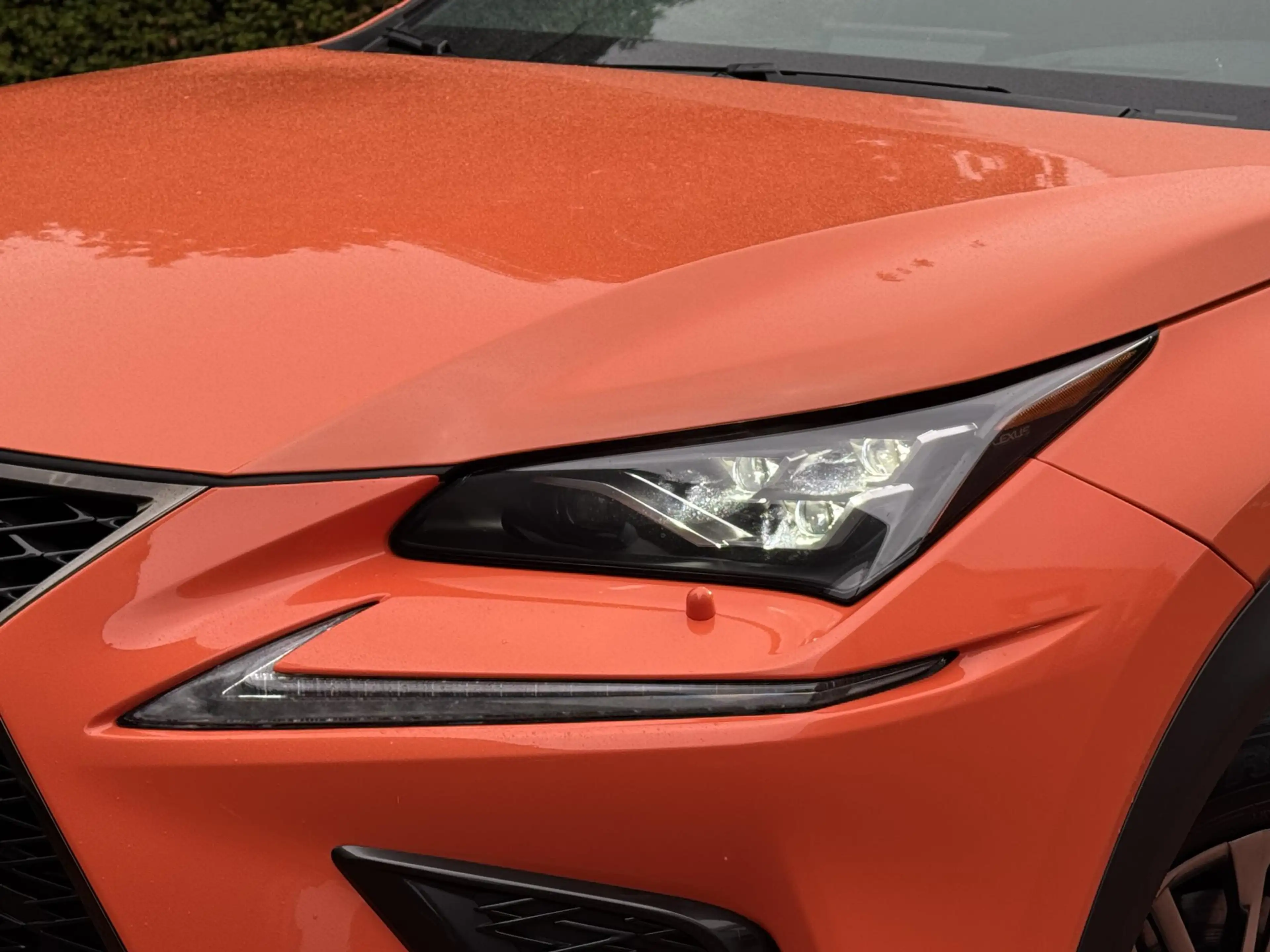 Lexus NX 300h AWD F SPORT MarkLevinson HUD Stoelkoeling Stuurver — photo 6