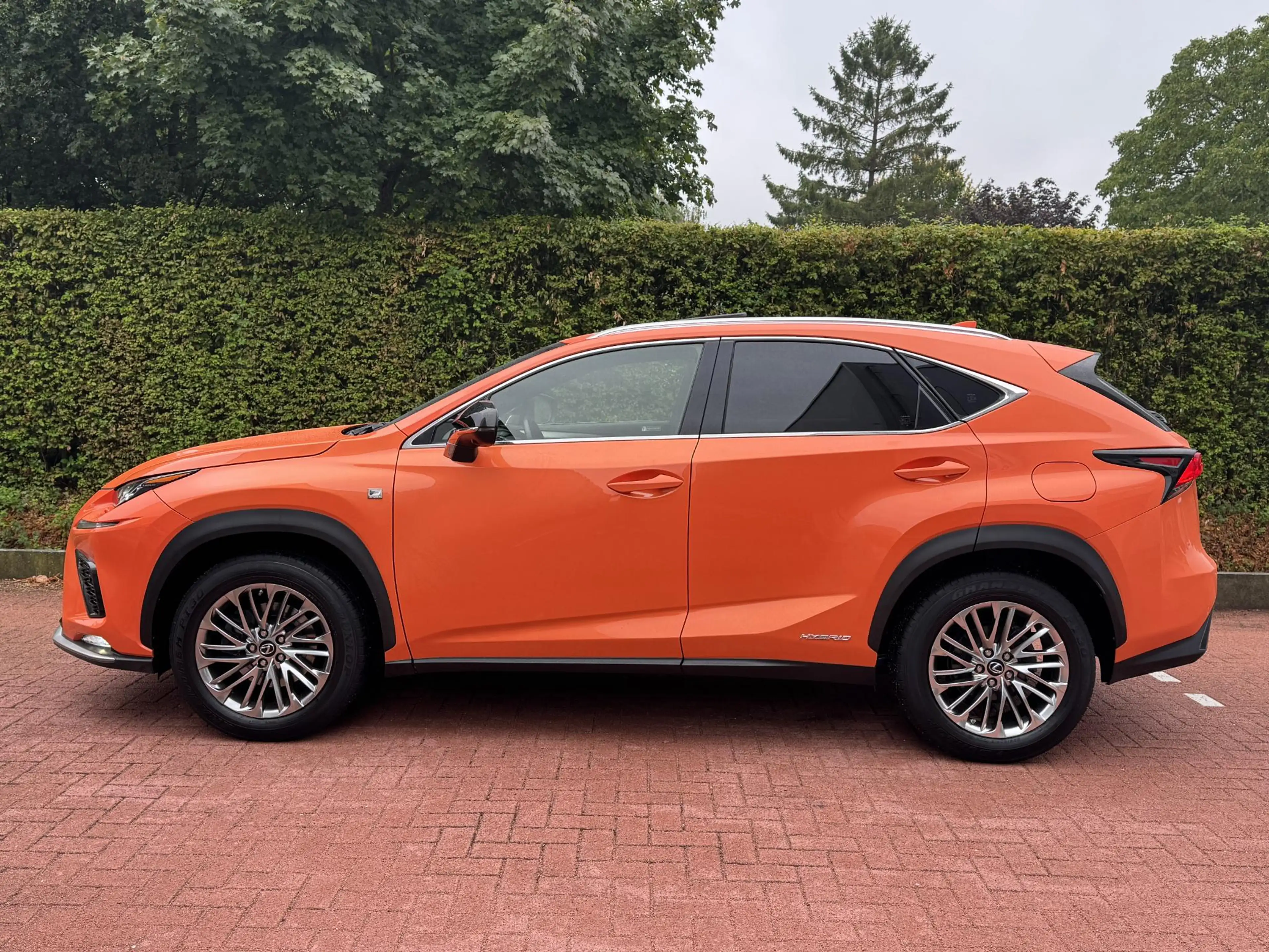 Lexus NX 300h AWD F SPORT MarkLevinson HUD Stoelkoeling Stuurver — photo 8
