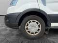 Ford TRANSIT KASTEN 350 L3H2 TREND, NAVI, KAMERA, SHZ Weiß - thumbnail 20