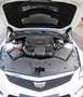 Cadillac ATS V 3.6 V6 Vollausstattung  _Motor erneuert_ Weiß - thumbnail 21