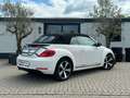 Volkswagen Beetle Cabriolet 1.4 TSI Sport Navi Cruise Climate Leder Wit - thumbnail 17