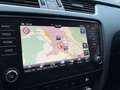 Skoda Octavia Combi 1.5 TSI DSG Tour LED/NAV/SHZ Gris - thumbnail 14