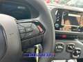 Fiat Panda PROMO FINANZ 1.0 HYBRID 5 POSTI +PACK CITY KM 0 Blu/Azzurro - thumbnail 13