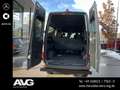 Mercedes-Benz Sprinter Sprinter 319 CDI V6 Tourer IGLHAUT 4x4 8-Sitzer Grau - thumbnail 18