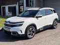 Citroen C5 Aircross Blue HDi130 EAT8 Shine Weiß - thumbnail 1
