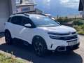 Citroen C5 Aircross Blue HDi130 EAT8 Shine Weiß - thumbnail 3
