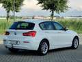 BMW 116 1-serie 116i Executive | Led | Trekhaak | Navi | C Wit - thumbnail 6