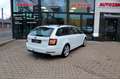 Skoda Octavia Combi Clever Business AHK ACC SHZ Navi Weiß - thumbnail 9