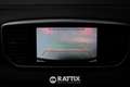 Kia Sportage 1.6 CRDI Mhev 136CV Business Class DCT Blu/Azzurro - thumbnail 19