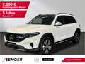 Mercedes-Benz EQB 300 EQB 250+ Progressive Panorama Kamera LED Winter Blanc - thumbnail 1