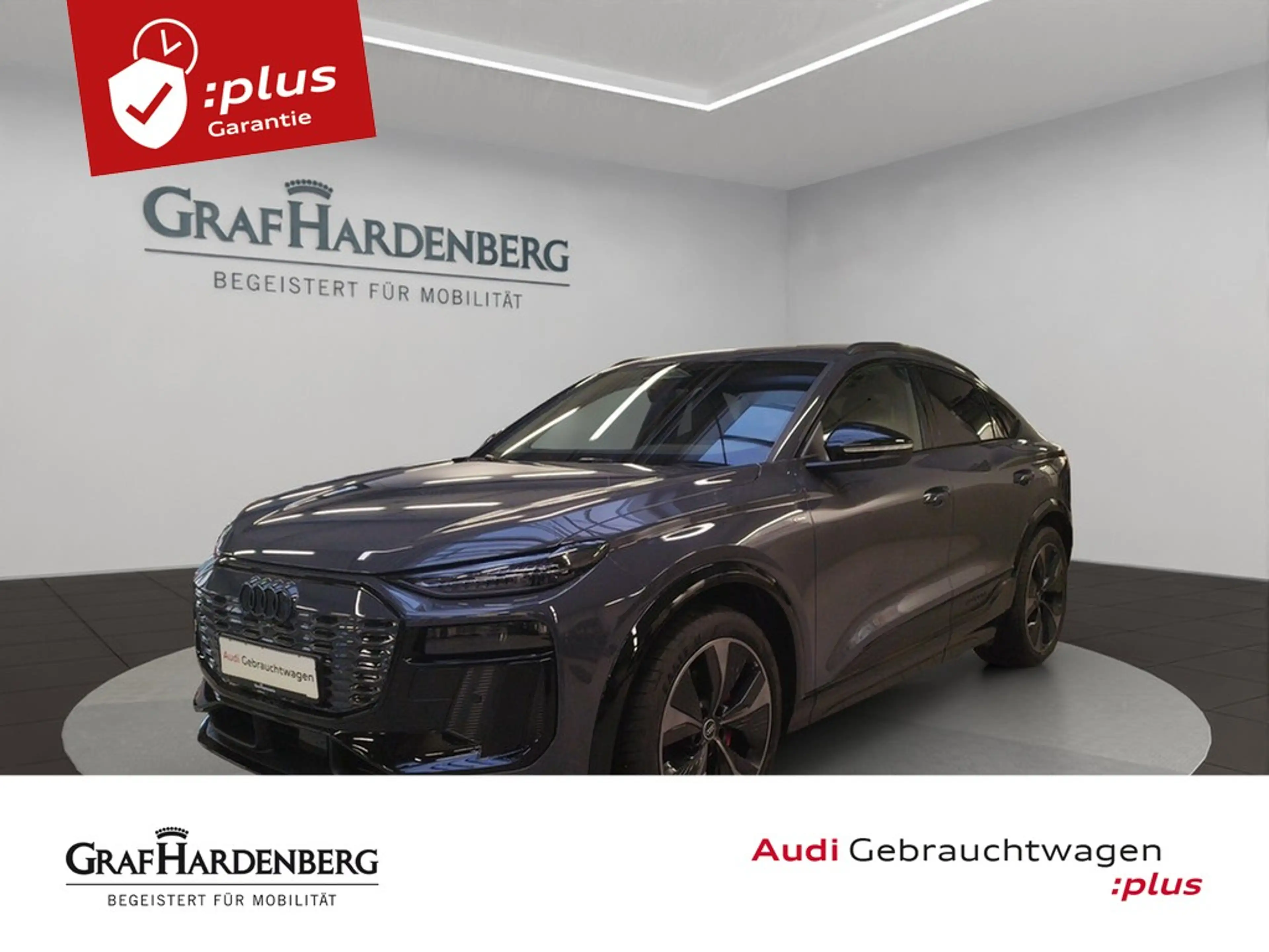 Audi e-tron performance 225kW S line AHK