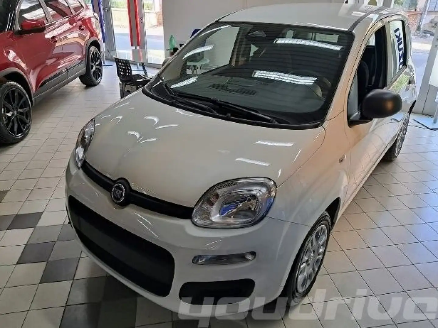 Fiat New Panda 1.0 FireFly S&S Hybrid Pop KM0 Bianco - 2