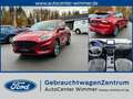 Ford Kuga 2.5 Duratec PHEV ST-LINE X Bluetooth Navi Rot - thumbnail 1