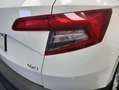Skoda Karoq 2.0TDI AdBlue Ambition 4x4 DSG 110kW Blanco - thumbnail 14