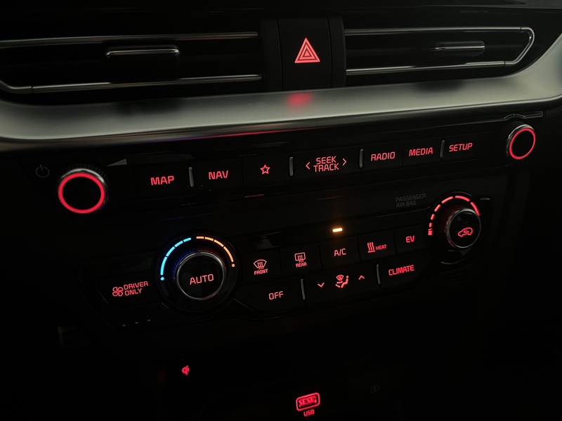 Kia e-Niro ExecutiveLine 64 kWh 1E EIGN/ECC/3 FASE/100%SOH/SC — photo 13