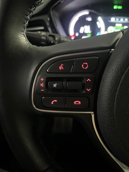 Kia e-Niro ExecutiveLine 64 kWh 1E EIGN/ECC/3 FASE/100%SOH/SC — photo 26