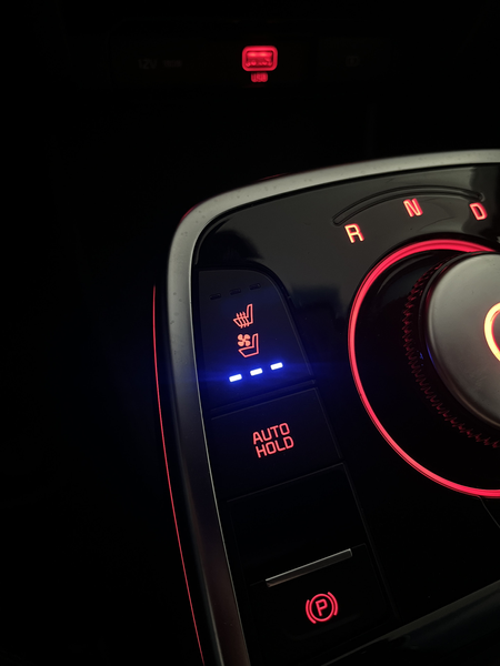 Kia e-Niro ExecutiveLine 64 kWh 1E EIGN/ECC/3 FASE/100%SOH/SC — photo 35