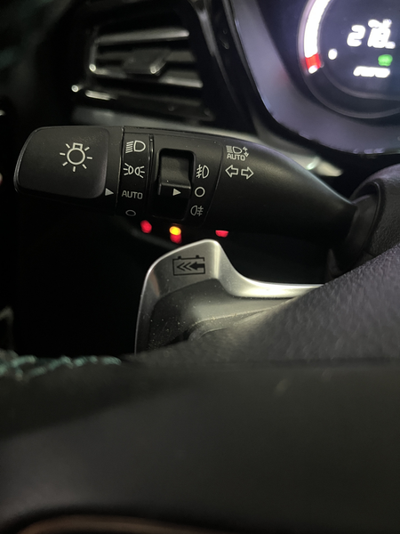 Kia e-Niro ExecutiveLine 64 kWh 1E EIGN/ECC/3 FASE/100%SOH/SC — photo 30