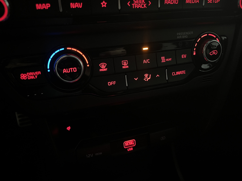 Kia e-Niro ExecutiveLine 64 kWh 1E EIGN/ECC/3 FASE/100%SOH/SC — photo 12
