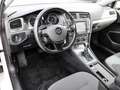 Volkswagen Golf VII e- Navi LED Scheinwerferreg. ACC 2-Zonen-Klima White - thumbnail 4