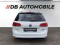 Volkswagen Golf Variant . Variant Comfortline BMT 1,6 TDI Blanc - thumbnail 6