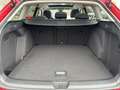 Volkswagen Golf Variant VIII Life 2.0 TDI Matrix Panorama AHK Rot - thumbnail 15