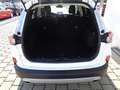 Ford Kuga 2,5 Duratec PHEV Titanium X Aut. Weiß - thumbnail 4