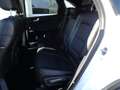 Ford Kuga 2,5 Duratec PHEV Titanium X Aut. Weiß - thumbnail 12