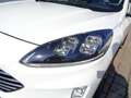 Ford Kuga 2,5 Duratec PHEV Titanium X Aut. Weiß - thumbnail 8