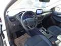 Ford Kuga 2,5 Duratec PHEV Titanium X Aut. Weiß - thumbnail 10