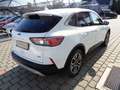 Ford Kuga 2,5 Duratec PHEV Titanium X Aut. Weiß - thumbnail 5