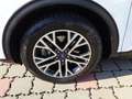 Ford Kuga 2,5 Duratec PHEV Titanium X Aut. Weiß - thumbnail 9