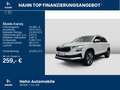 Skoda Karoq 1.5TSI Ambition GRA LED Navi PDC Sitzheiz Weiß - thumbnail 2