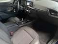 BMW 218i Gran Coupé -- ACC/DrivingAssist/harman/17LM Blau - thumbnail 12
