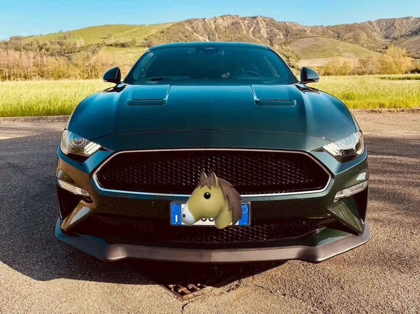 Ford Mustang Fastback 5.000 V8 Bullitt Verde - 1