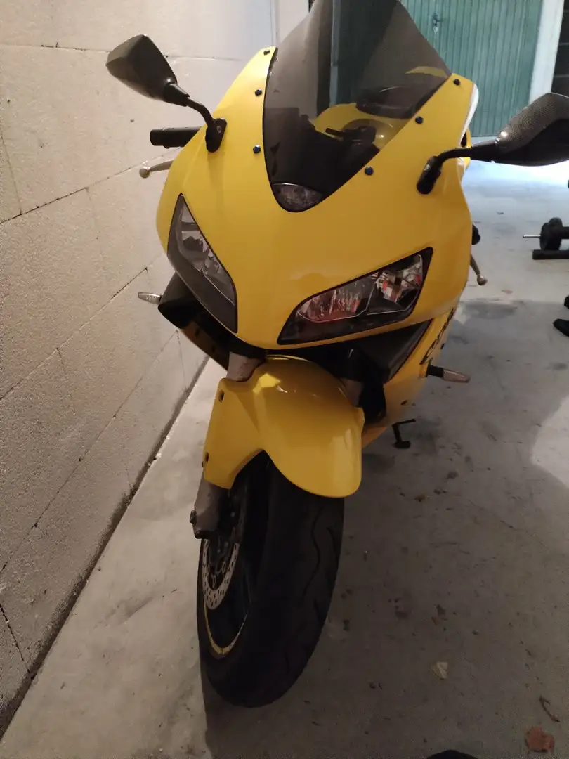 Honda CBR 600 cbr600rr Giallo - 1