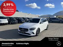 Mercedes-Benz B 250 4M Progressive Memory VZ Assi Sportsitze